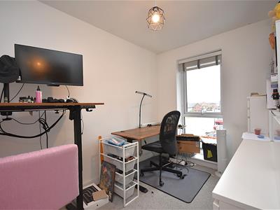 Picture 12